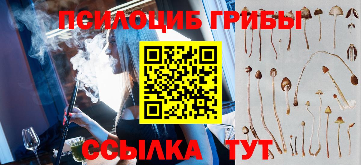 Серпухов  Галлюциногенные грибы мухоморы  где продают   Вход с VPN 