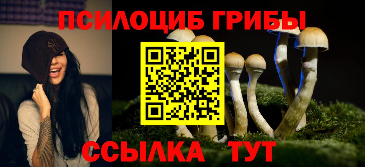 Галлюциногенные грибы прущие грибы Серпухов